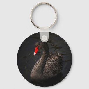 Beautiful Black Swan with a Bright Red Beak Key Ring