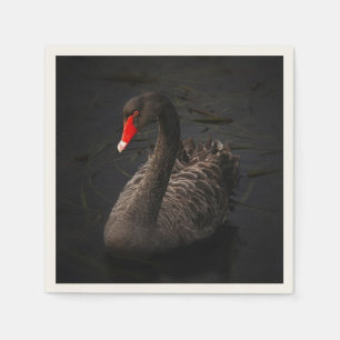 Beautiful Black Swan with a Bright Red Beak Napkin