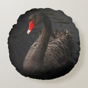 Beautiful Black Swan with a Bright Red Beak Round Cushion