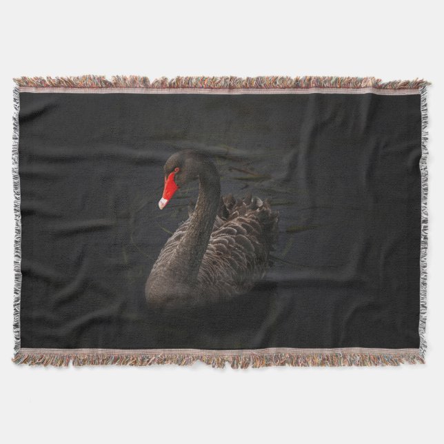 Beautiful Black Swan with a Bright Red Beak Throw Blanket (Front)