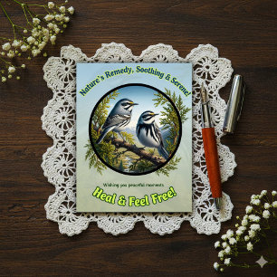 Beautiful Black-throated Grey Warblers Get Well Postcard