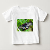 Beautiful Black, White and Red Butterfly