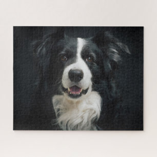 Beautiful Black White Border Collie Dog Photo Jigsaw Puzzle