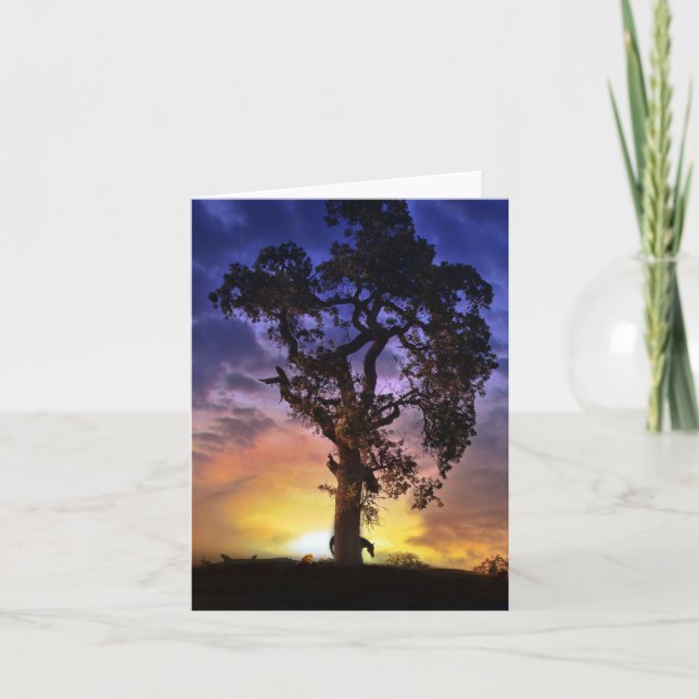 Beautiful Blank Horse and Oak Tree Note Card (Front)