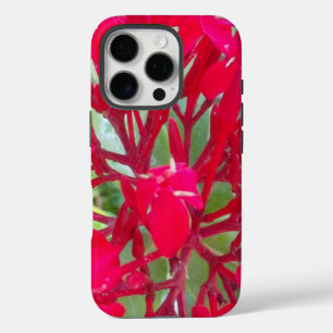 Beautiful Blood Flower Milkweed Art Print/Graphic iPhone 16 Pro Case