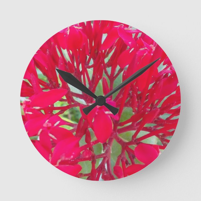 Beautiful Blood Flower Milkweed Art Print/Graphic Round Clock (Front)