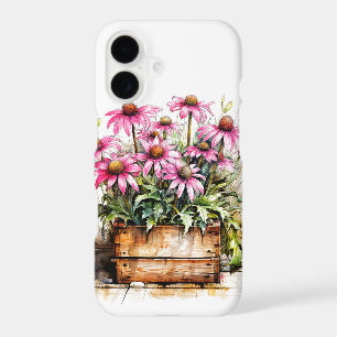 Beautiful Blooming Aster Flowers