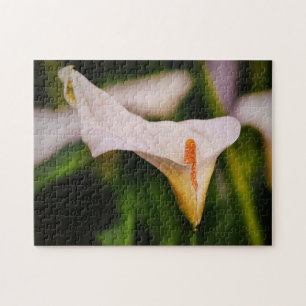 Beautiful Blooming Calla Lily Garden Puzzle