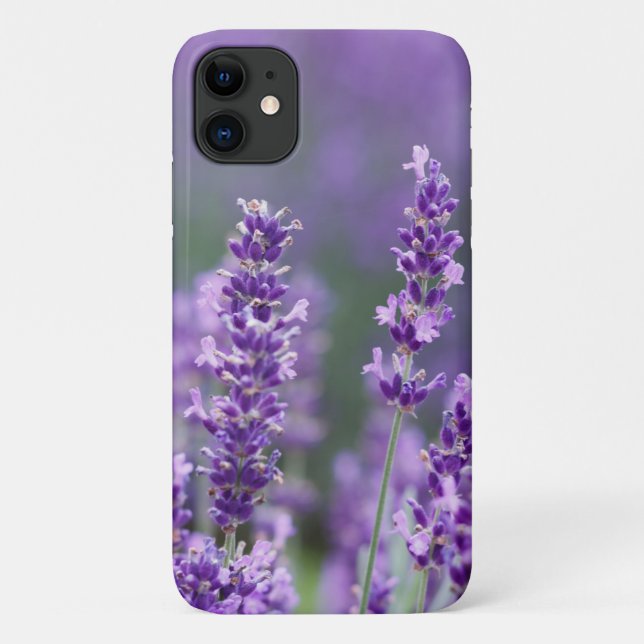 Beautiful Blooming Lavender Flowers  Case-Mate iPhone Case (Back)