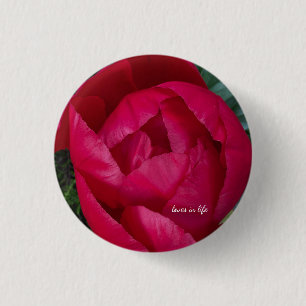 Beautiful Blooming Red Peony 3 Cm Round Badge