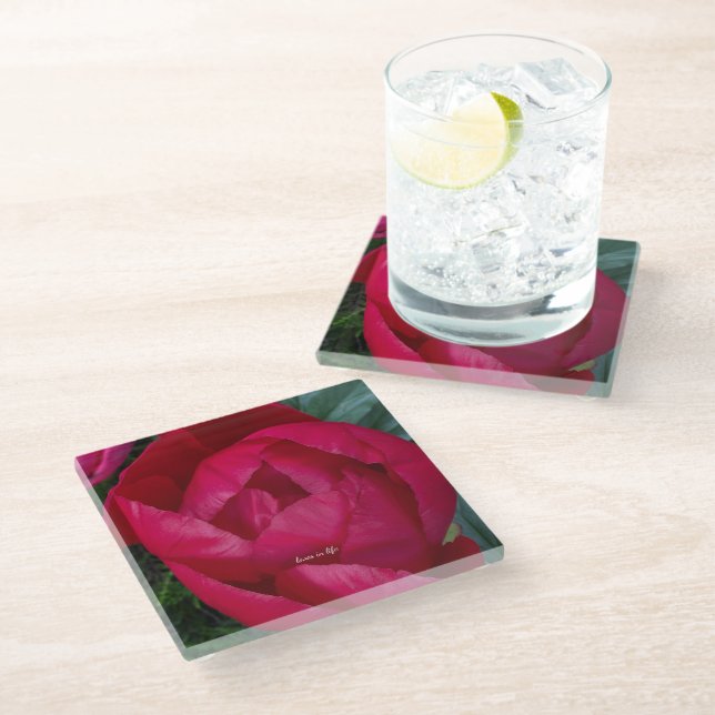 Beautiful Blooming Red Peony  Glass Coaster (Angled)