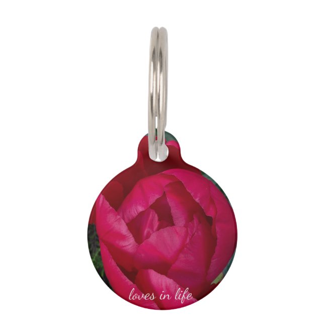 Beautiful Blooming Red Peony  Pet Tag (Front)