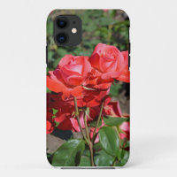 Beautiful blooming roses print