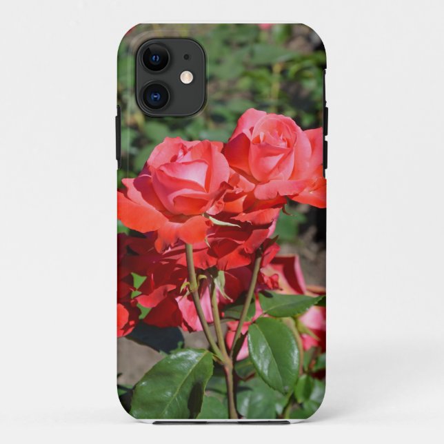 Beautiful blooming roses print Case-Mate iPhone case (Back)