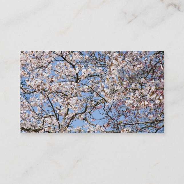 Beautiful blossom business card (Front)