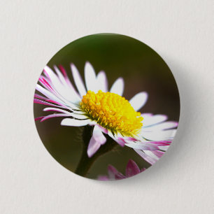 beautiful blossoms  petals romance romantic bridal 6 cm round badge