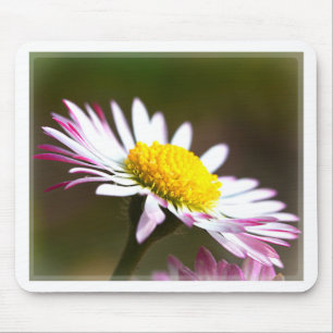 beautiful blossoms petals romance romantic bridal mouse pad