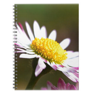 beautiful blossoms petals romance romantic bridal notebook