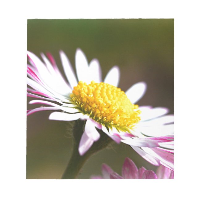 beautiful blossoms  petals romance romantic bridal notepad (Front)