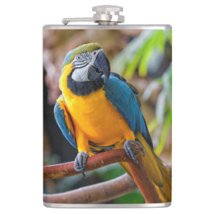 Beautiful Blue and Gold Macaw Hip Flask