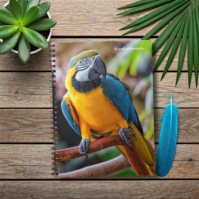Beautiful Blue and Gold Macaw Notebook (Beautiful Blue and Gold Macaw on a Branch Journal Cover Photo)