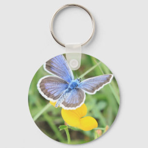 Beautiful Blue and White Butterfly Key Ring