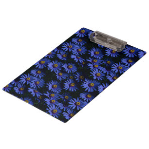Beautiful blue asters clipboard