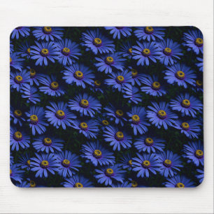 Beautiful blue Asters Mouse Pad