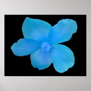Beautiful Blue Begonia Flower Print