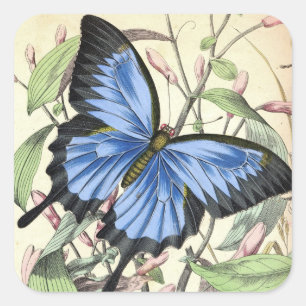 Beautiful blue butterfly vintage art sticker