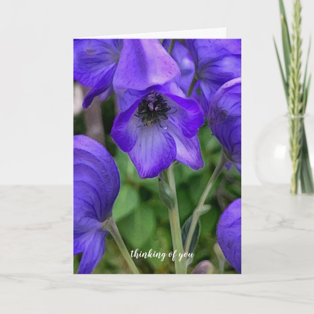 Beautiful Blue Delphiniums Sympathy Card (Front)