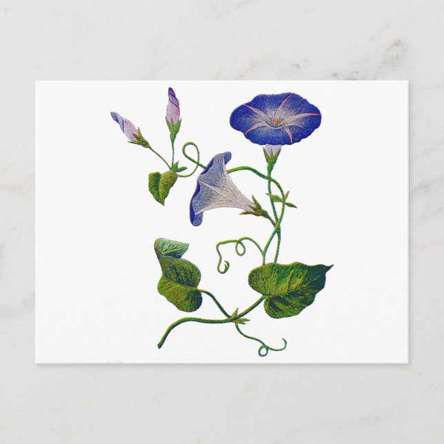 Beautiful Blue Embroidered Morning Glories Postcard (Front)