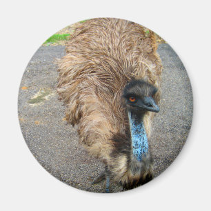 Beautiful Blue Emu Bird Photograph Magnet