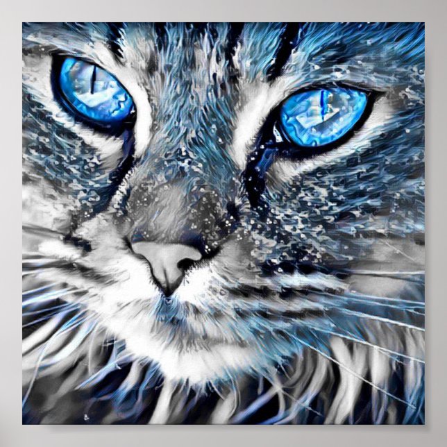Beautiful blue-eyed cat poster (Front)