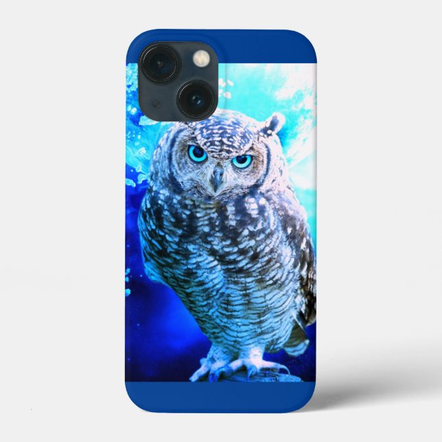 Beautiful blue eyed owl  Case-Mate iPhone case (Back)