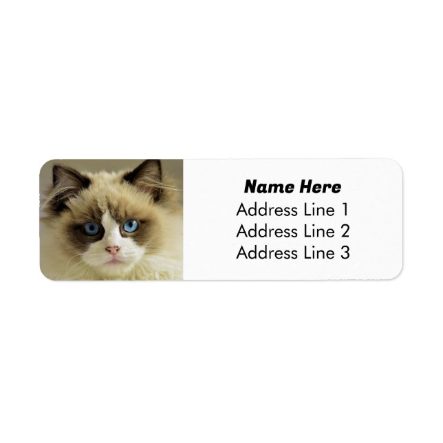 Beautiful Blue Eyed Ragdoll Cat Return Address Label (Front)