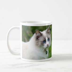 Beautiful Blue Eyed Ragdoll Kitten Coffee Mug