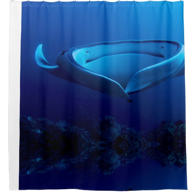 Beautiful Blue Giant Manta Ray Shower Curtain (Front)