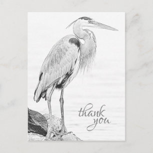 Beautiful Blue Heron Water Bird Sketch Thank You Postcard