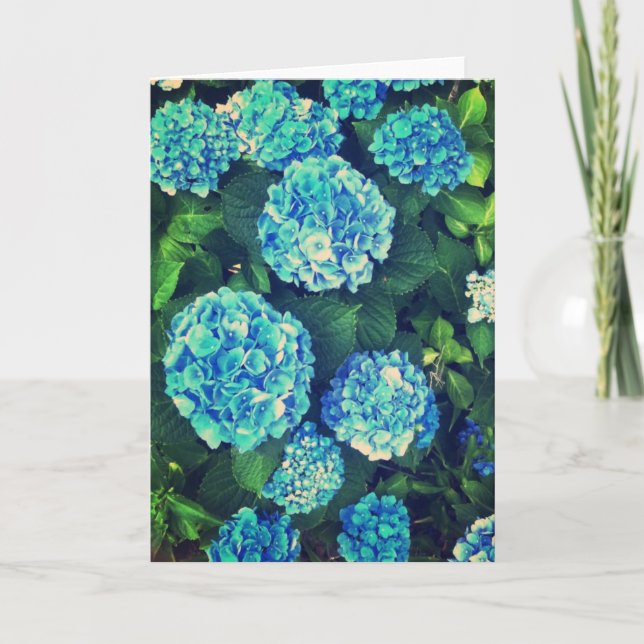 Beautiful Blue Hydrangea Blank Greeting Card (Front)