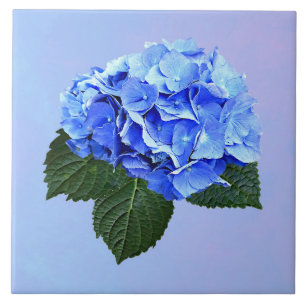 Beautiful Blue Hydrangea Ceramic Tile