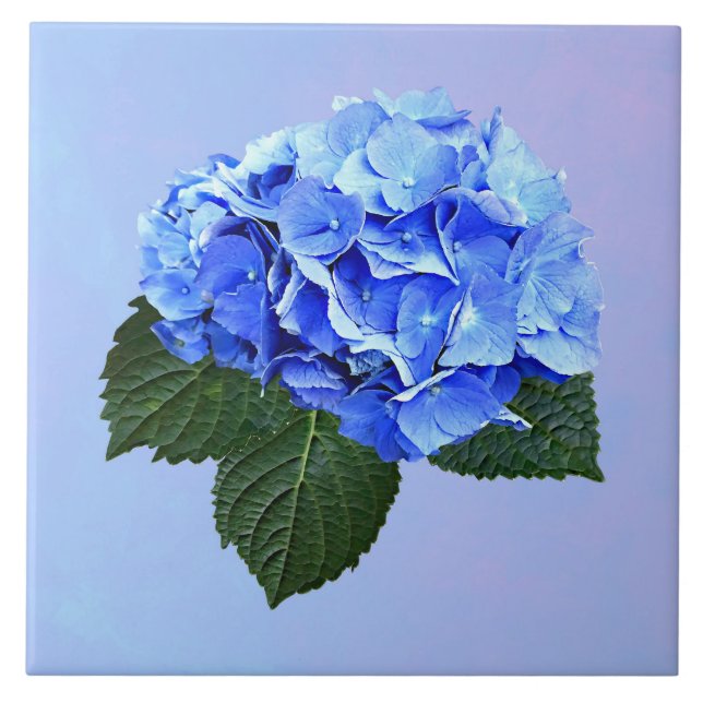 Beautiful Blue Hydrangea Ceramic Tile (Front)
