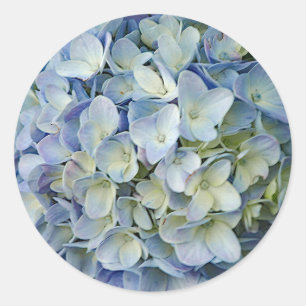 Beautiful Blue Hydrangea Flowers Photo Classic Round Sticker