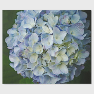 Beautiful Blue Hydrangea Flowers Photo Wrapping Paper