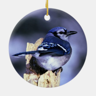 Beautiful Blue Jay bird Ceramic Tree Decoration