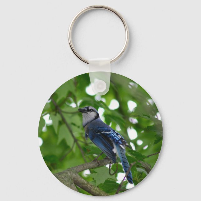 Beautiful Blue Jay bird Key Ring (Front)