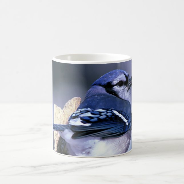 Beautiful Blue Jay Coffee Mug (Center)