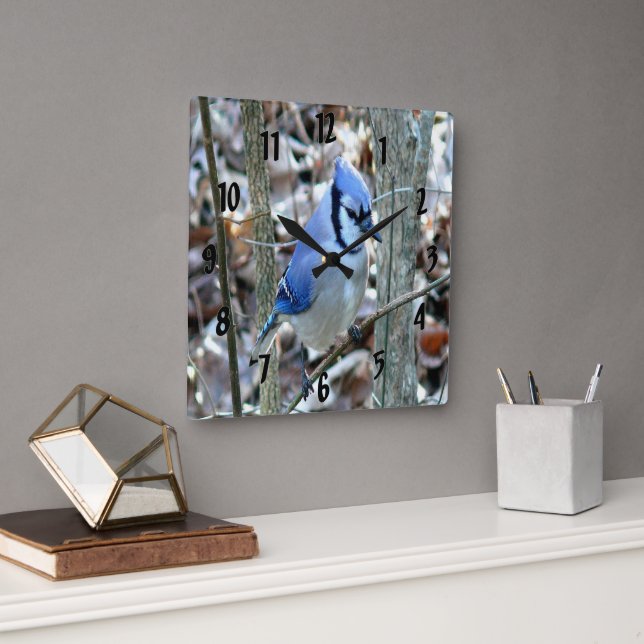 Beautiful Blue Jay Square Wall Clock (Office)