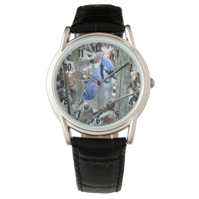 Beautiful Blue Jay Watch (Front)