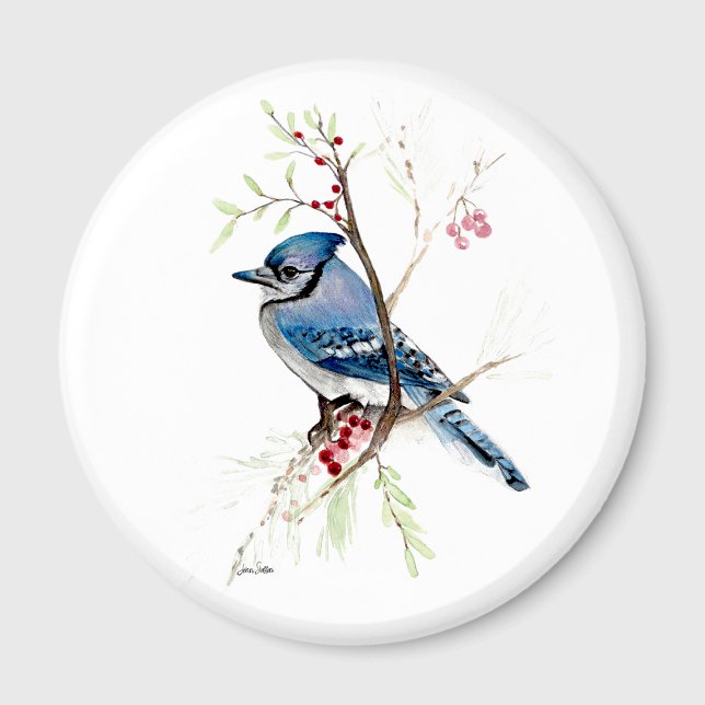 Beautiful Blue Jay Watercolor Magnet (Beautiful Blue Jay Watercolor Magnet by Jenn Steffen Art.)